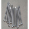 Galvanized Concrete Nail/Nails for Building